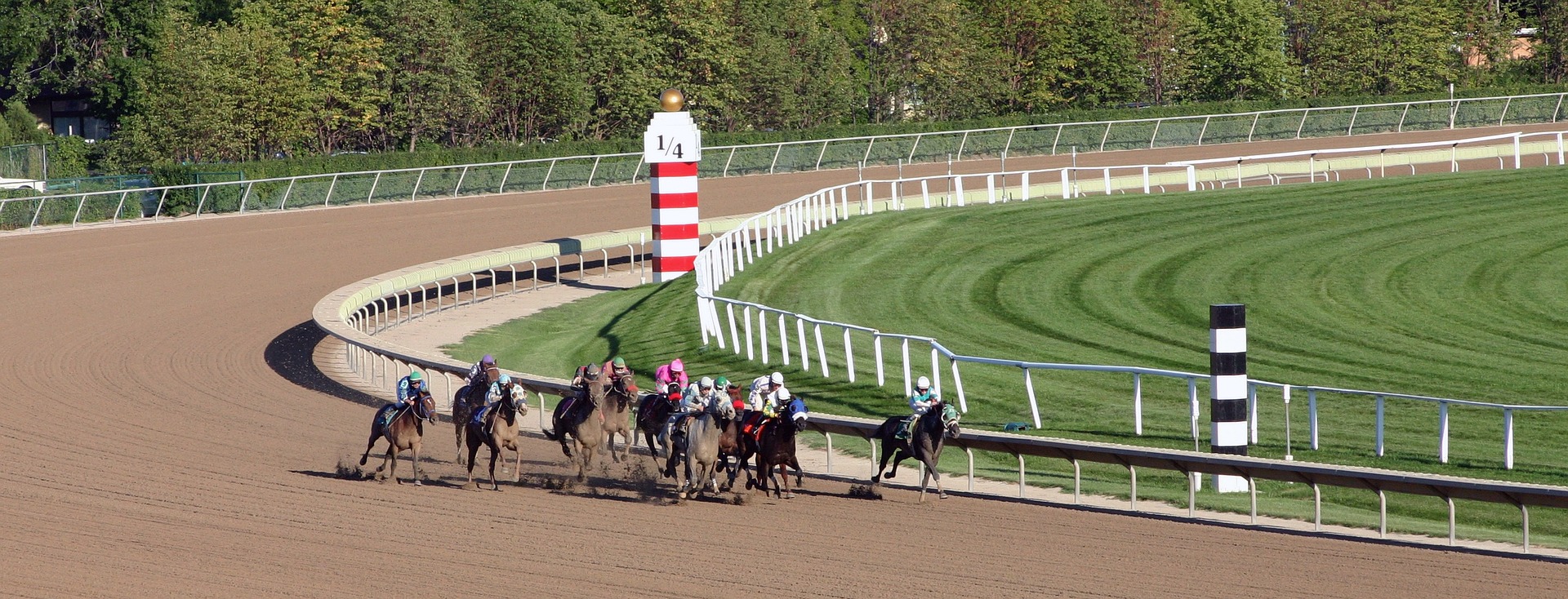 Off track betting simulcast horse racing