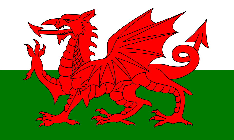Wales Flag Soccer UEFA Euros world cup