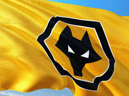 Wolverhamton soccer English premier league